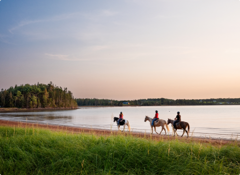 People riding horses in PEI