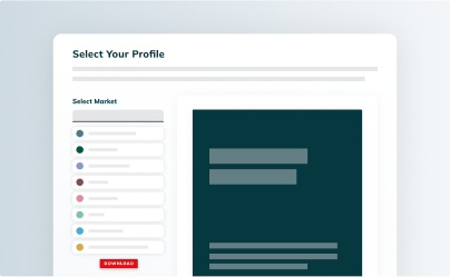 Traveller Segments Graphic