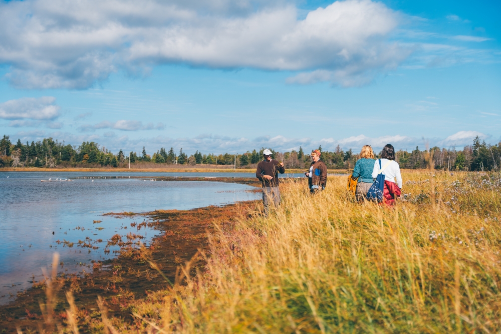 A group of people in Prince Edward Island Canada during the day in summer foraging on a guided tour by the water near The Inn at Bay Fortune with tree-line in the distance