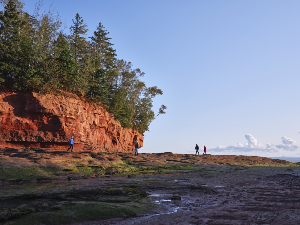 People walking outside in Nova Scotia at dusk with blue skies at low tide with red rock cliffs and green trees